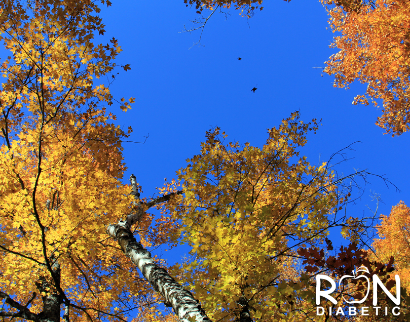 Канадская-осень_2