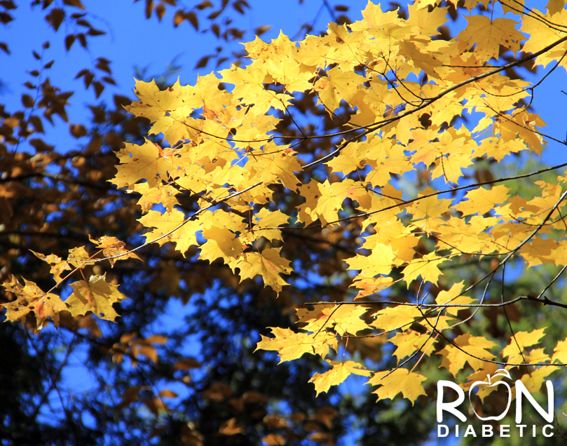 Канадская-осень_3