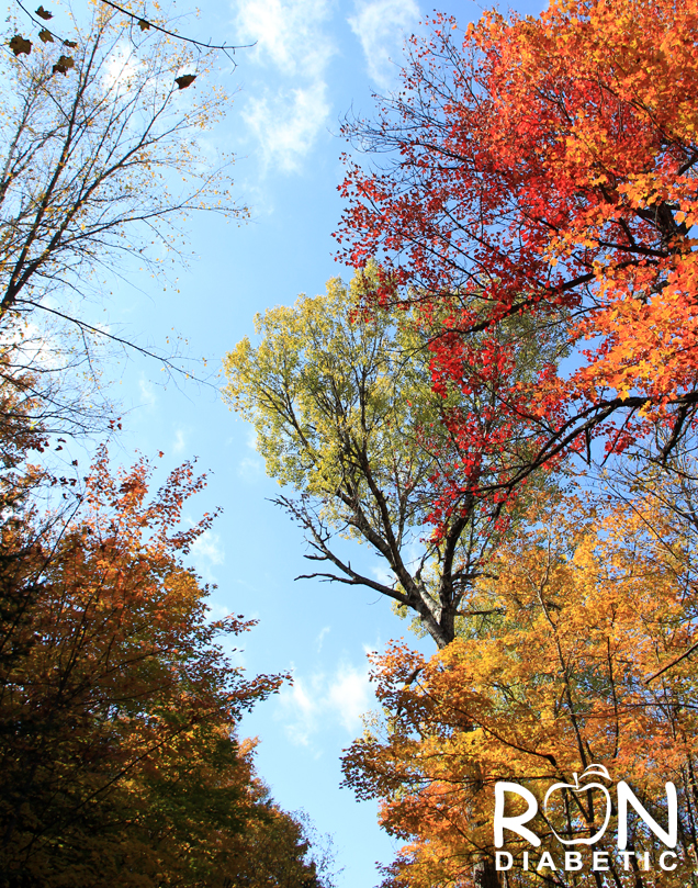 Канадская-осень_5