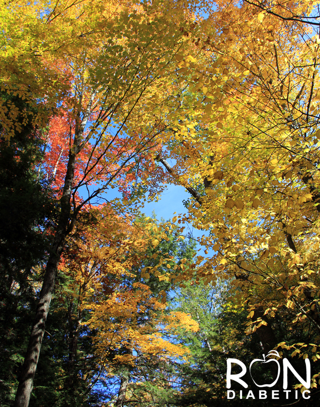 Канадская-осень_6