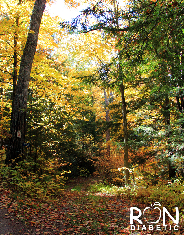 Канадская-осень_7