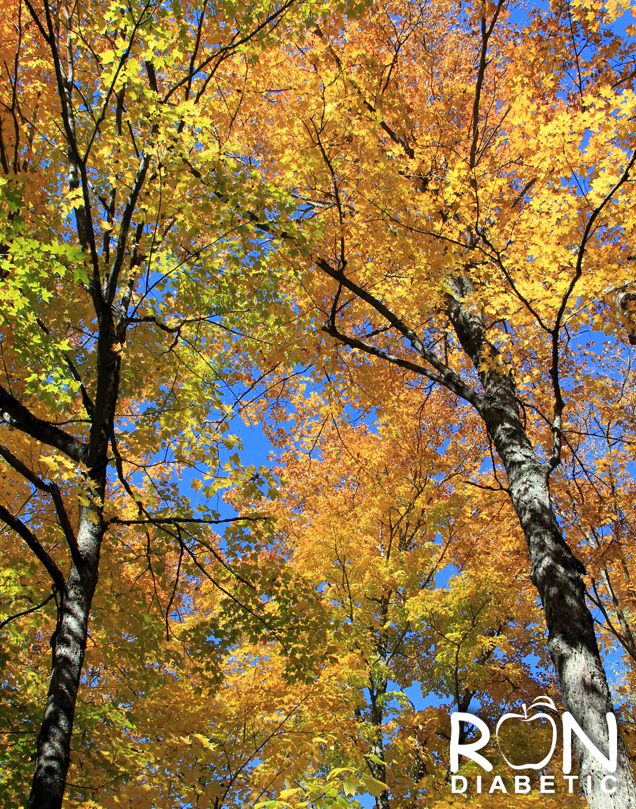 Канадская-осень_8