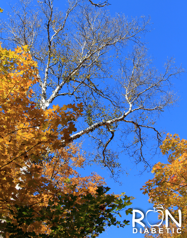 Канадская-осень_9