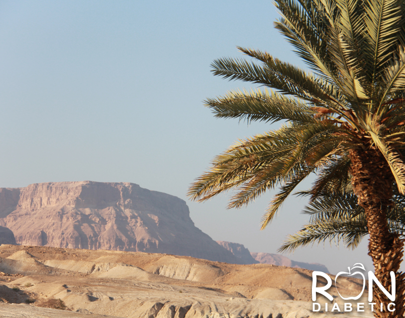 Вид перед входом в отель HERODS. 