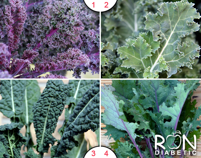 Виды листовой капусты кале (кейл)