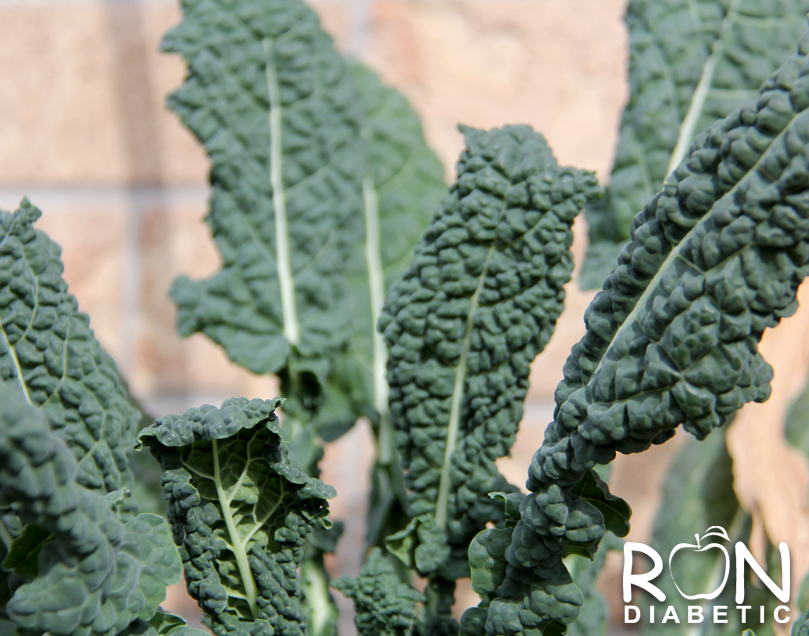 Тосканская лисотвая капуста кале (Lacinato kale) или динозавр (Dinosaur kale)