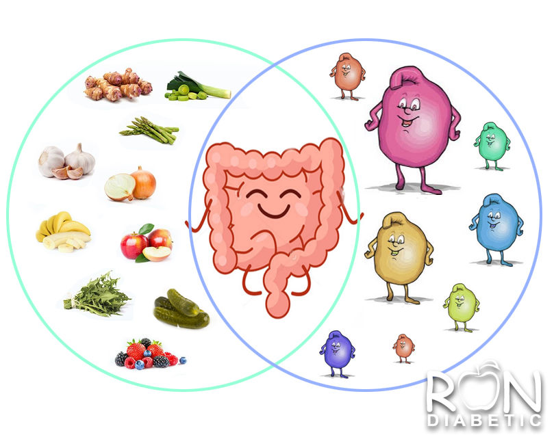 Пробиотики и пребиотики: в чем разница и зачем они нужны диабетикам