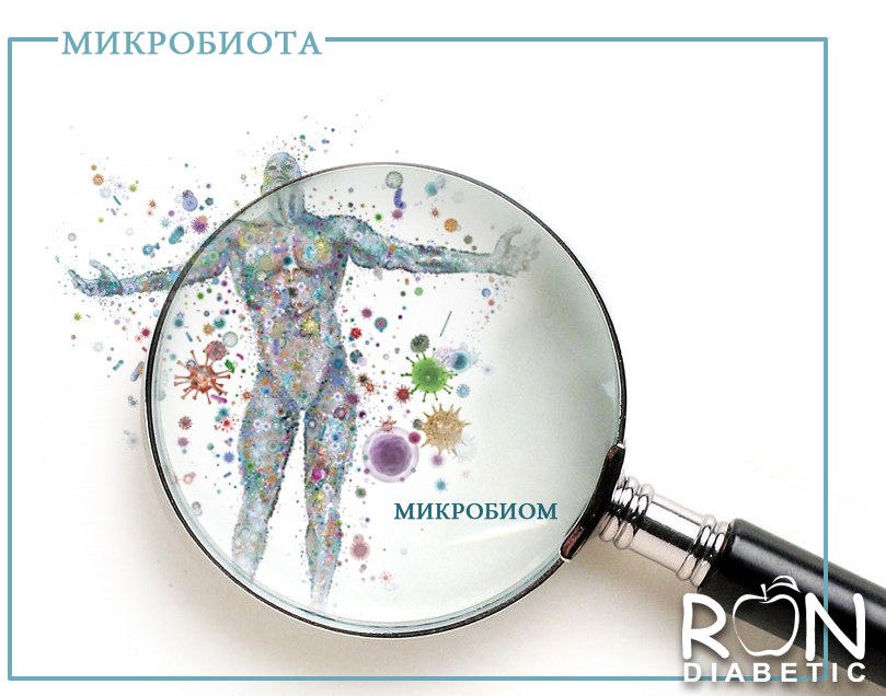 Что такое микробиом и микробиота человека?